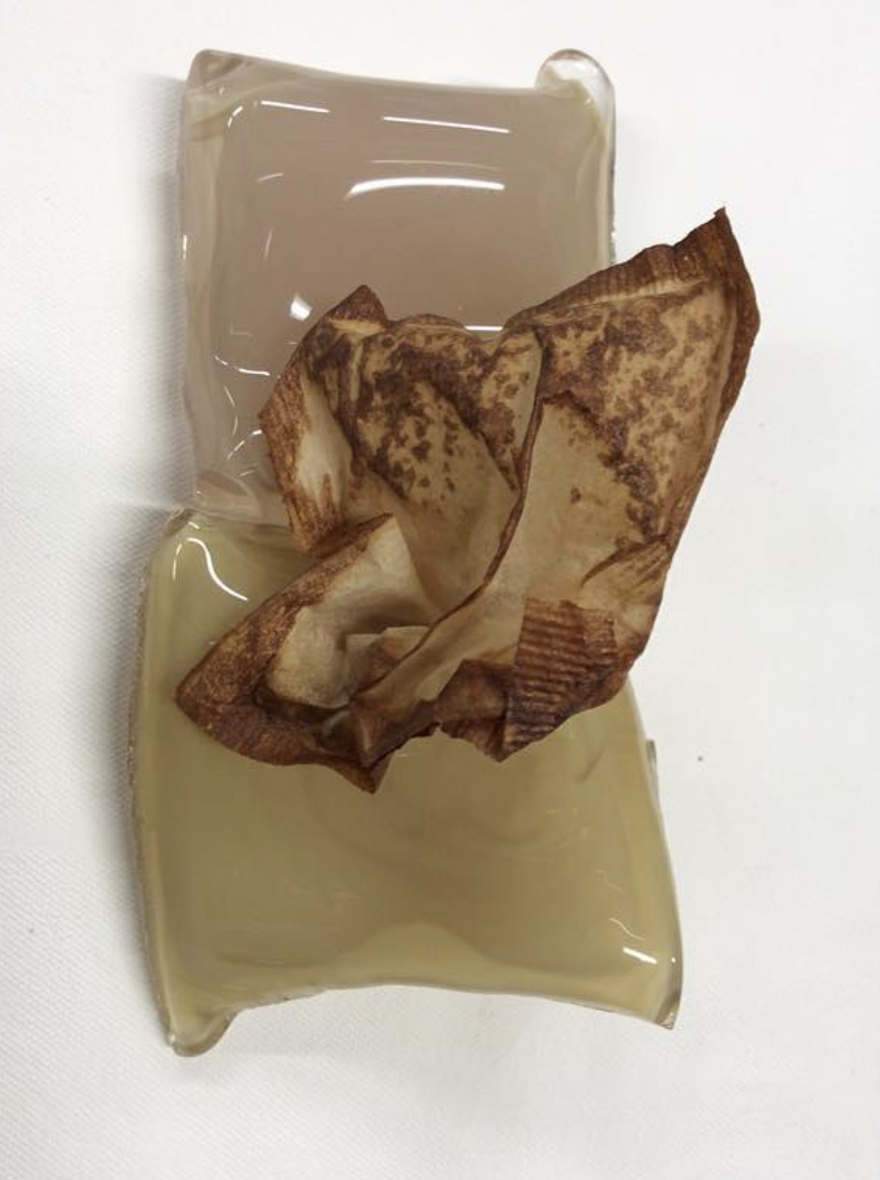 These small glass pieces were free blown in a glass blowing hotshop to create an organic representation of used tea bags and the object resting on them was found blowing down the street one windy day in October.